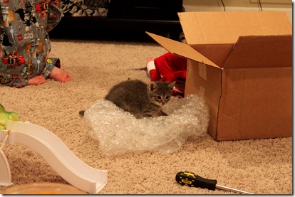 christmas kitty2 12-25-2010 9-32-36 AM