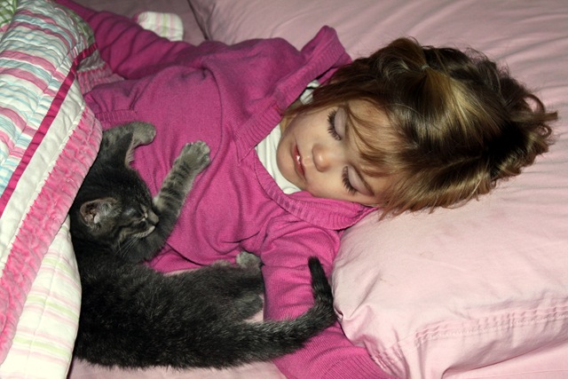 [Abigail stormy sleeping[3].jpg]