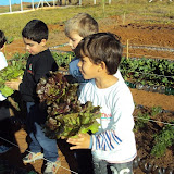 fotos 2 periodo 081.jpg