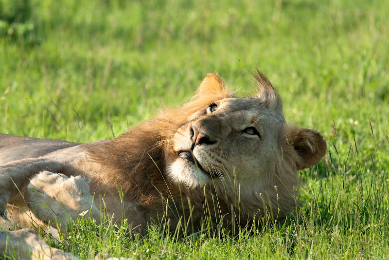 IMAGE: http://lh5.ggpht.com/_3EGyrfPaGJs/TOttoQjIc2I/AAAAAAAACI4/QznHu1wDWp8/s800/20101118-IMG_7213.jpg