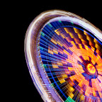02004_allthefunofthefair_1920x1200.jpg