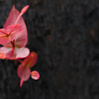 02020_lifereturns_1920x1200.jpg