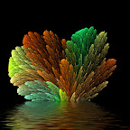 Fall_Coral_by_Marsille.jpg