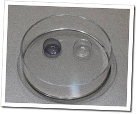 lentes de contacto fotocromaticos