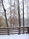 DSC08173.JPG