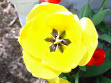 misc 06 107.jpg