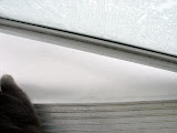 021407 Import 229.JPG