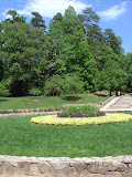 DSC05469.JPG