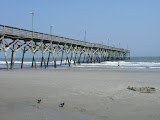 DSC05729.JPG