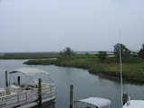 DSC05829.JPG