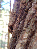 DSC07902.JPG