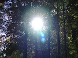 DSC07904.JPG
