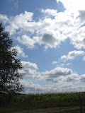 DSC09476.JPG