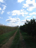 DSC09486.JPG