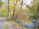 DSC09548.JPG