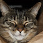 Jax in the paper bag paper