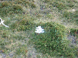 P3220154.JPG