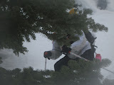 IMG_1292.JPG