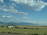 IMG_2914.JPG