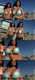 Denise Milani Pictures.jpg