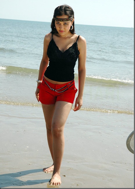 Priyanka Kothari hot stills5