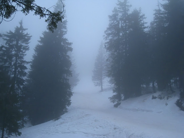 the_fog_on_the_dragobrat_day_first