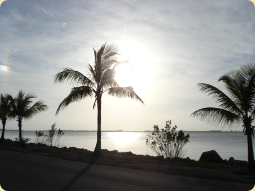 Drive Thru Florida Keys 347