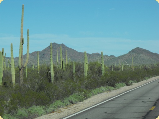 PP to Gila Bend 057