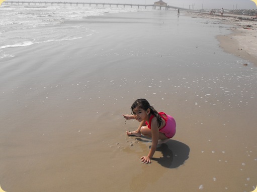 Day at Padre Island 101