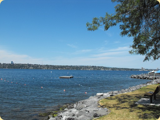 Bellevue & It's Lakes 083