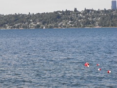 [Bellevue & It's Lakes 084[2].jpg]