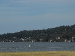 [Bellevue & It's Lakes 132[2].jpg]