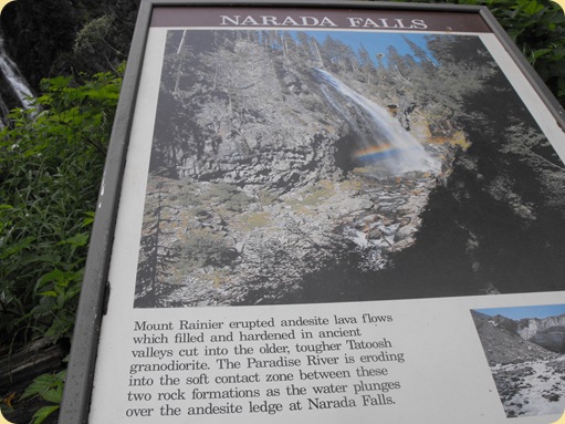 Mt. Rainier National Park 186
