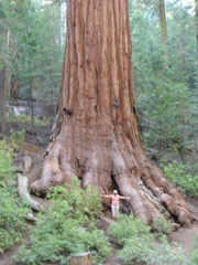 [Yosemite National Park, CA 266[2].jpg]