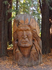 [Avenue of the Giants-Ancient Redwoods 058[2].jpg]