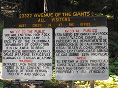 [Avenue of the Giants-Ancient Redwoods 079[2].jpg]