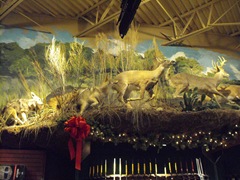 [Bass Pro Shop 09 022[2].jpg]