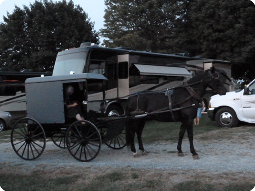 Amish Vendor 011