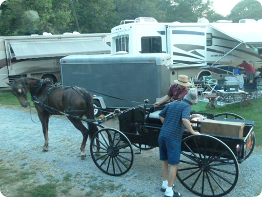 Amish Visit to Park 025