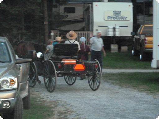 Amish Visit to Park 058