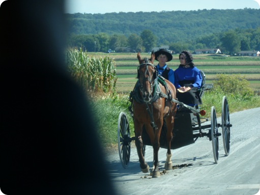The Amish Village 247