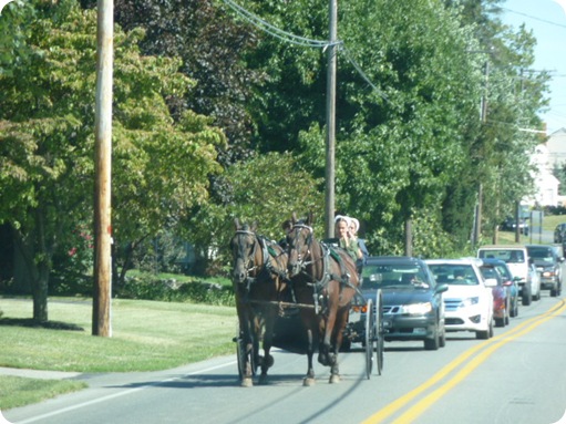 The Amish Village 230