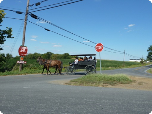 The Amish Village 241