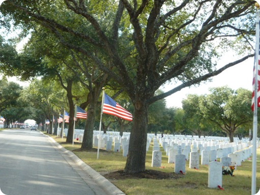 Veteran's Day 2010 034