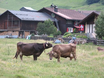 [IMG_96864.jpg]