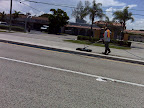Only in Boca Raton do they power wash the medians