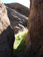 IMG_0168.JPG Photo