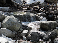 IMG_0266.JPG Photo