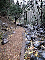 Established Trail Photo