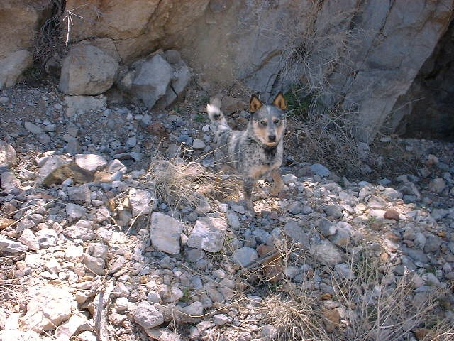 [DSCF00152.jpg]
